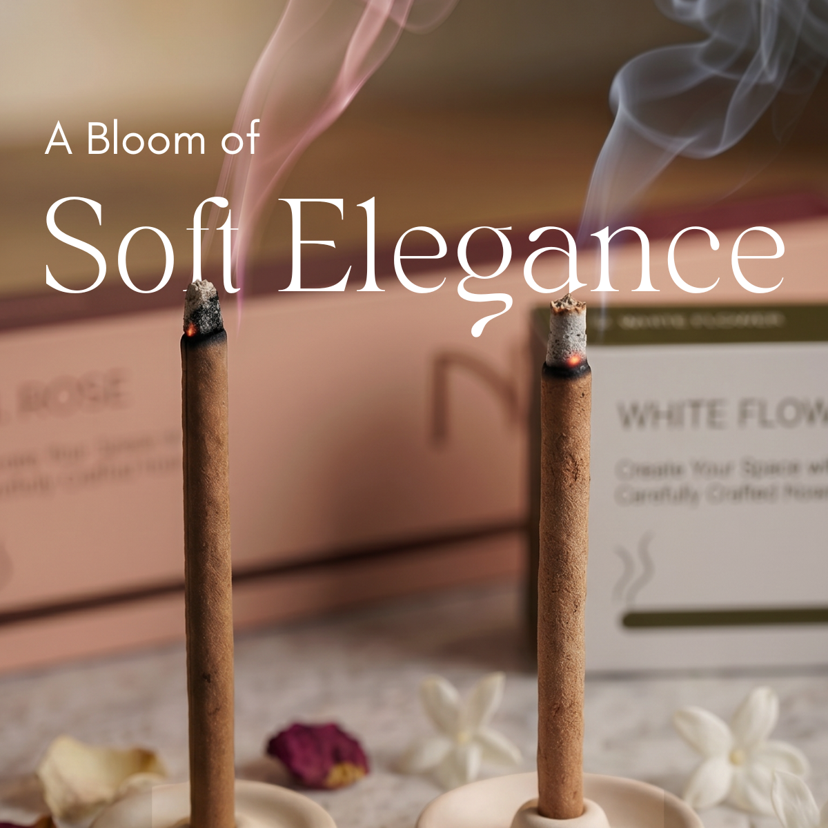 Floral Discovery